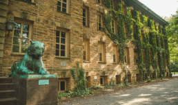 Princeton Courses for High School Students