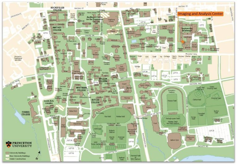 Princeton Courses for High School Students - PrepMaven